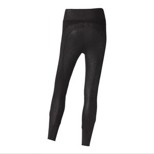 Stride Ladies’ Viper Three-Season Full-Seat Breech